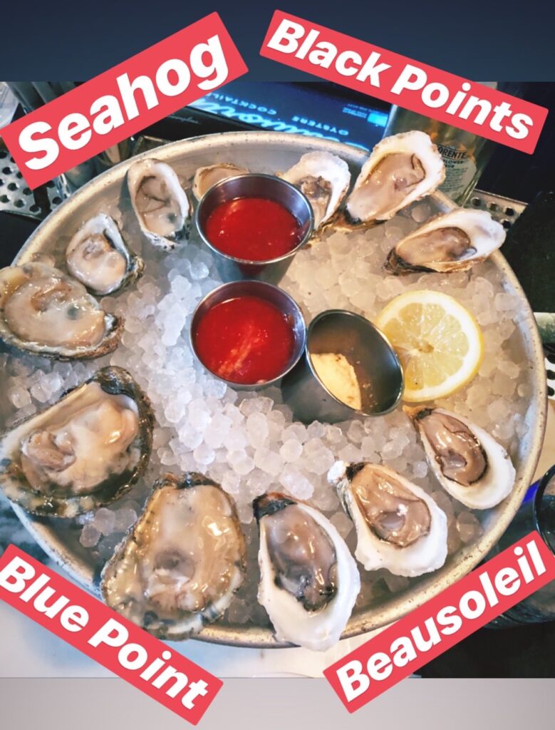 Oysters at Seaworthy